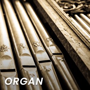 Organ