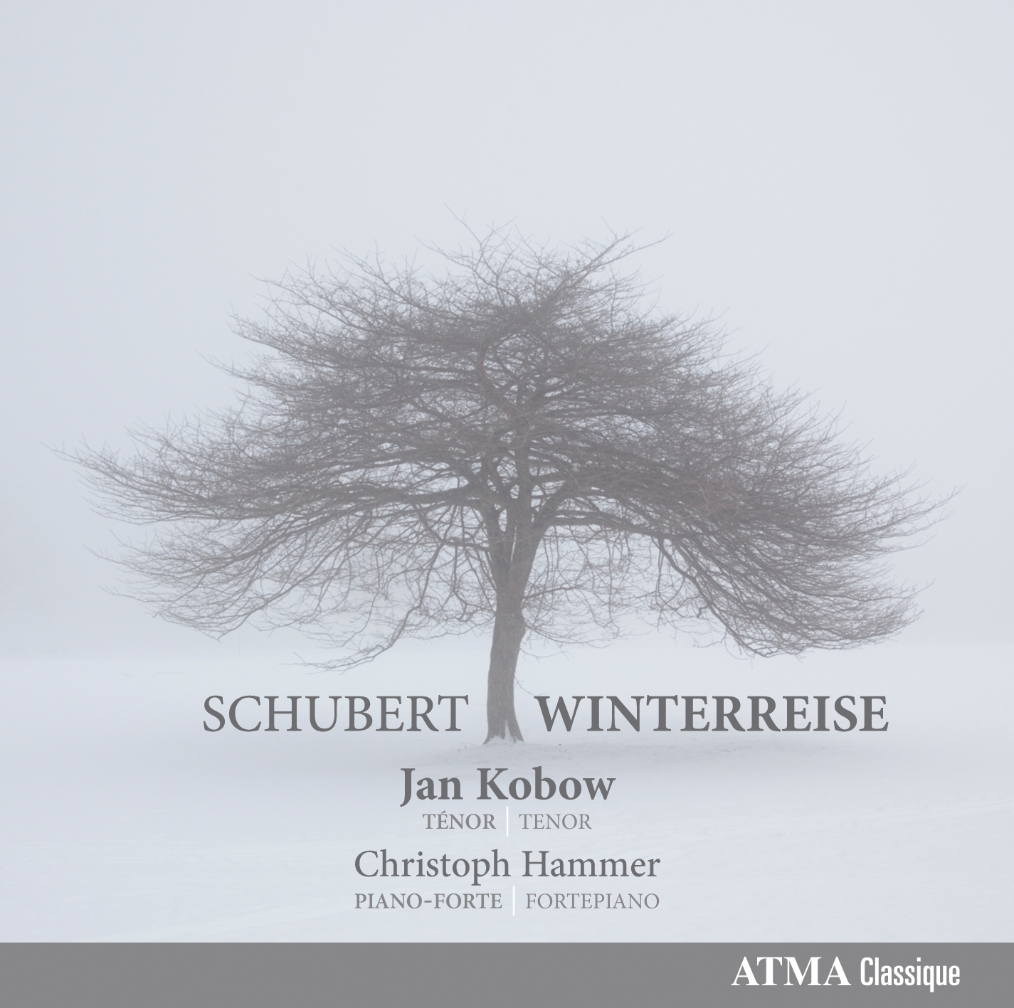 Schubert : Winterreise